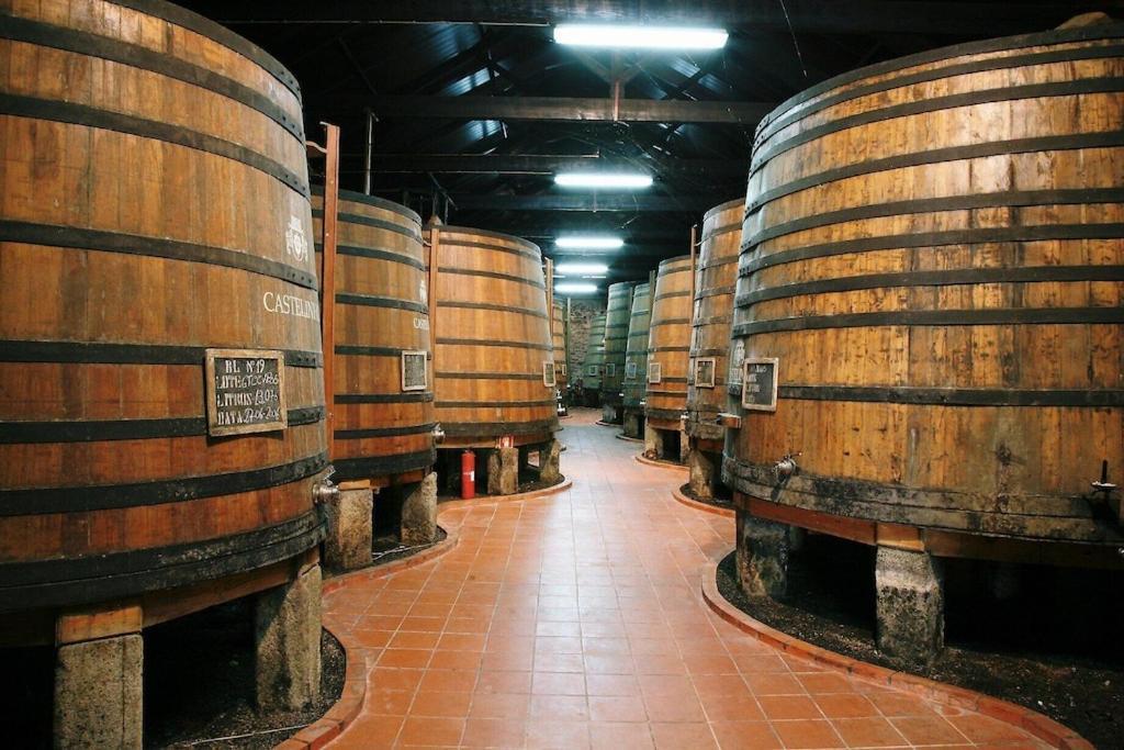 Вилла Quinta De Sao Domingos House Пезу-да-Регуа Экстерьер фото